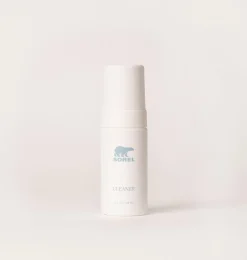 Essential Shoe Care Kit