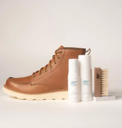 Essential Shoe Care Kit
