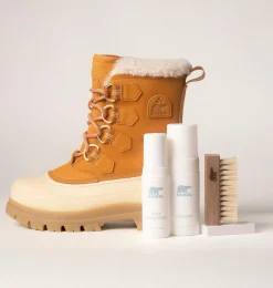 Essential Shoe Care Kit